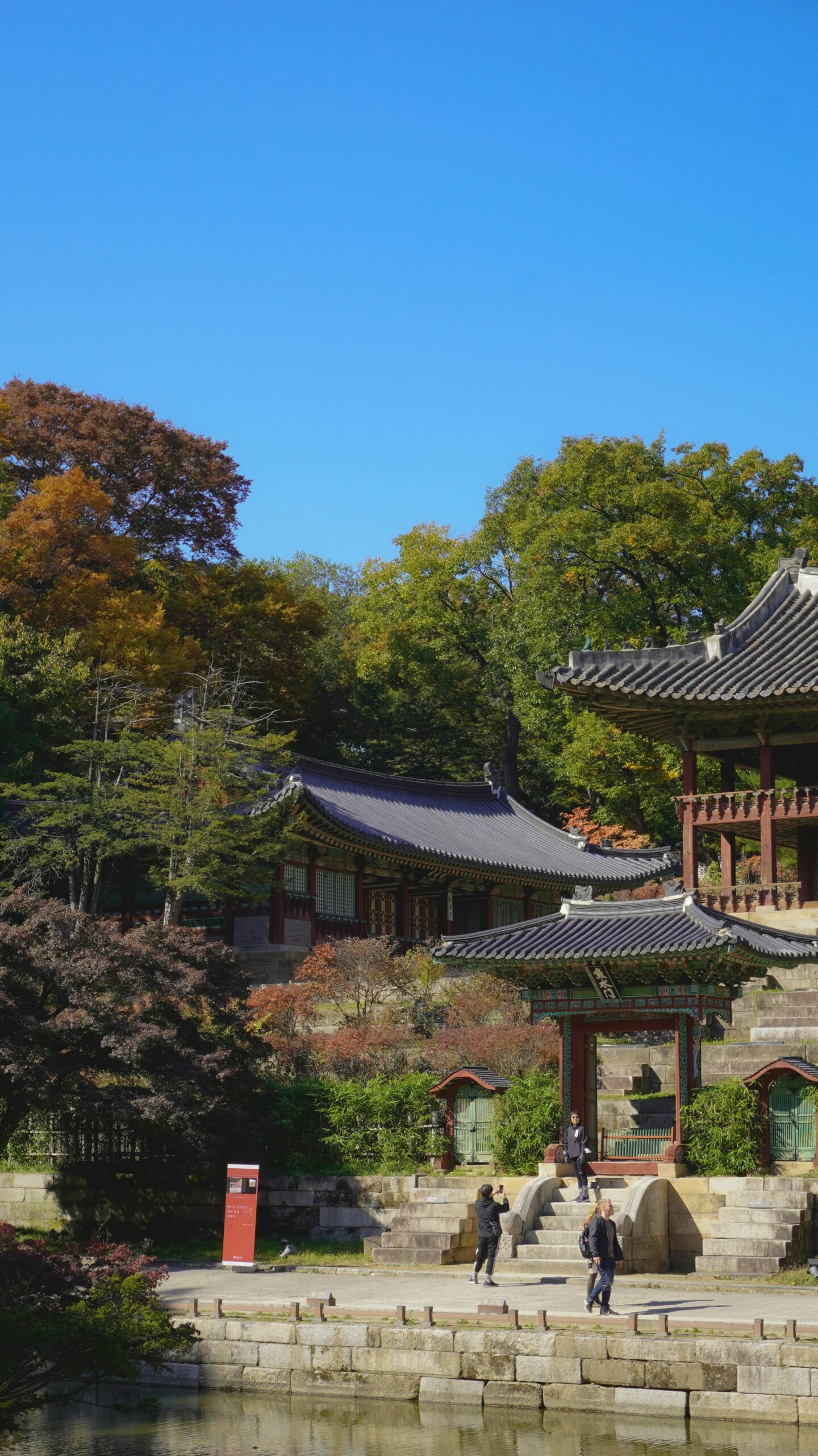 Unveiling the Tranquil Beauty of Changdeokgung Palace’s Secret Garden